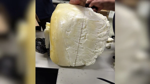 Apreensão aconteceu durante uma operação de rotina da Receita Federal; entorpecente tem valor estimado em R$ 400 mil