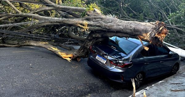 Autoridades anunciaram nesta terça-feira (16/12) que a Agência Nacional de Energia Elétrica (Aneel) dará início a rompimento de contrato. Decisão teve participação do governo Lula.