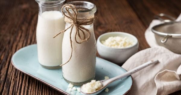 Rico em probióticos, vitaminas e minerais, ele contribui para a saúde e ajuda na prevenção de doenças 
