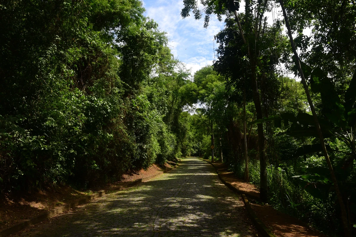 Parque da Fonte Grande, Vitória por Carlos Alberto Silva