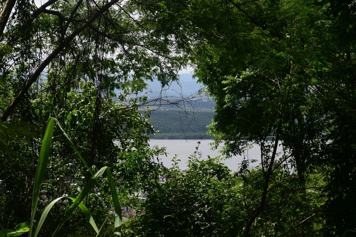 Parque da Fonte Grande, Vitória por Carlos Alberto Silva