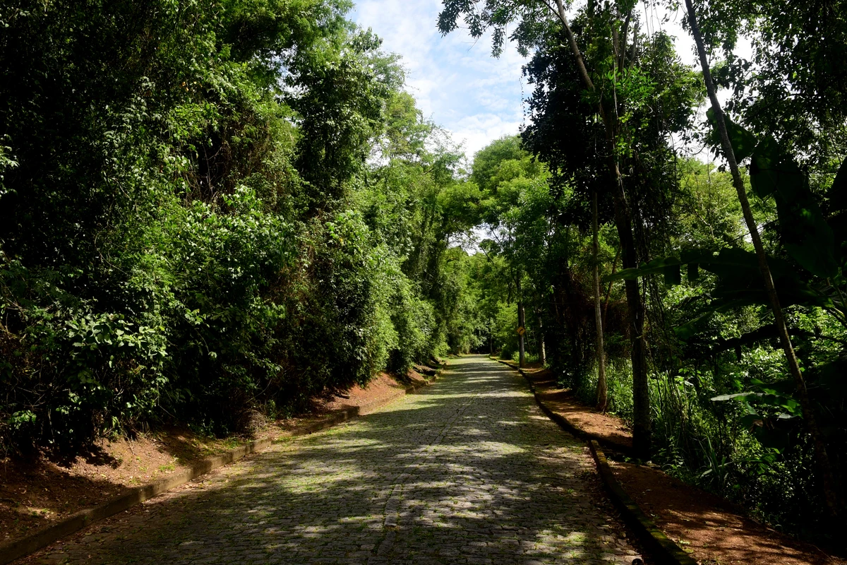 Parque da Fonte Grande, Vitória por Carlos Alberto Silva