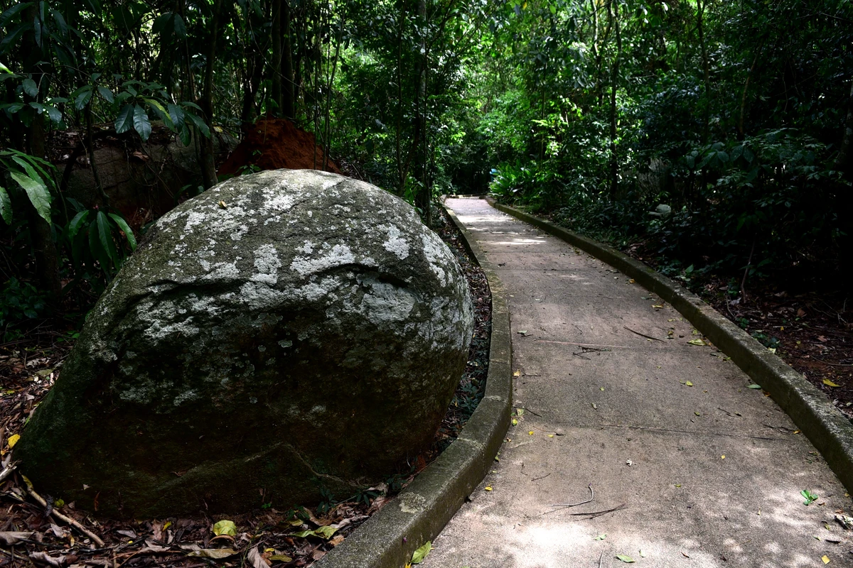 Parque da Fonte Grande, Vitória por Carlos Alberto Silva