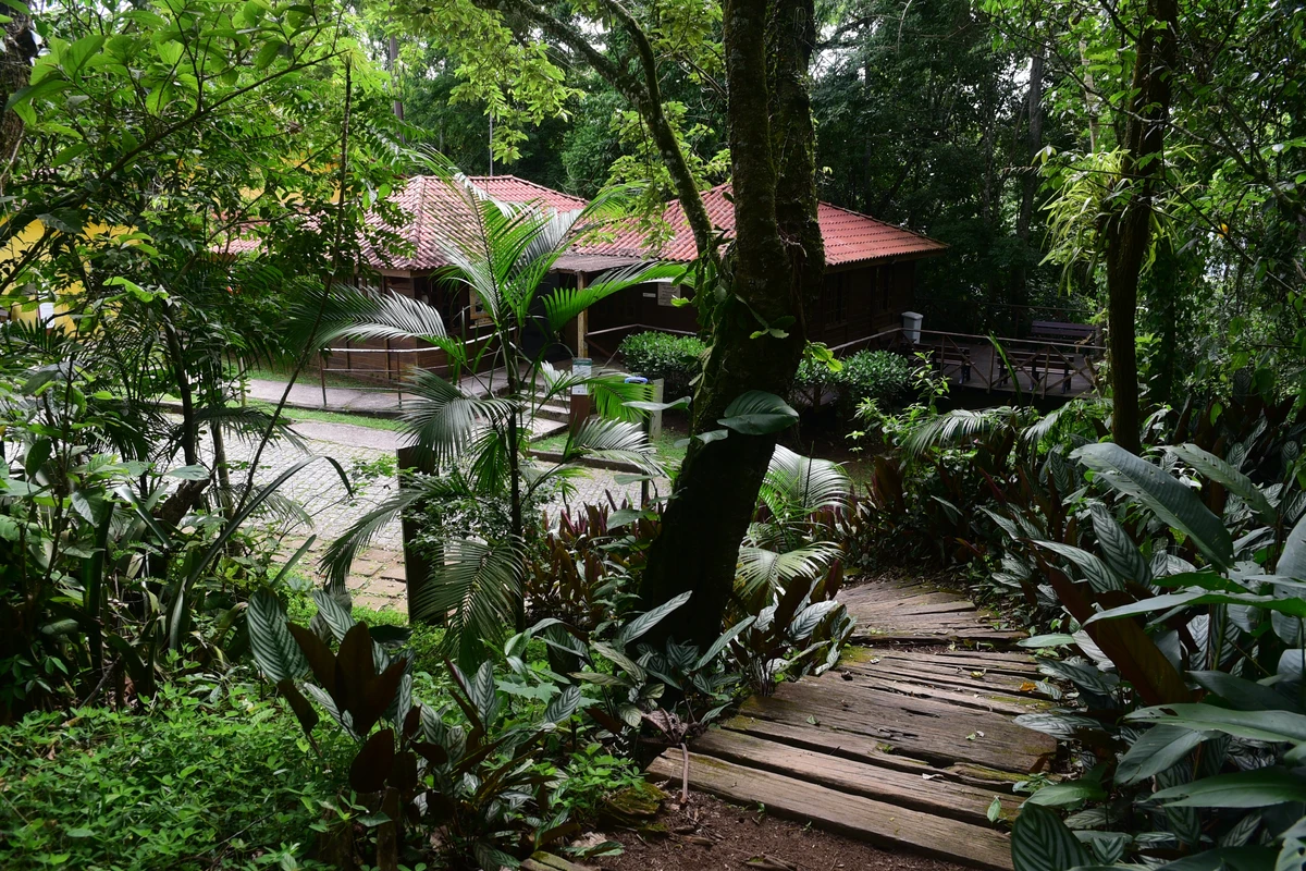 Parque da Fonte Grande, Vitória por Carlos Alberto Silva