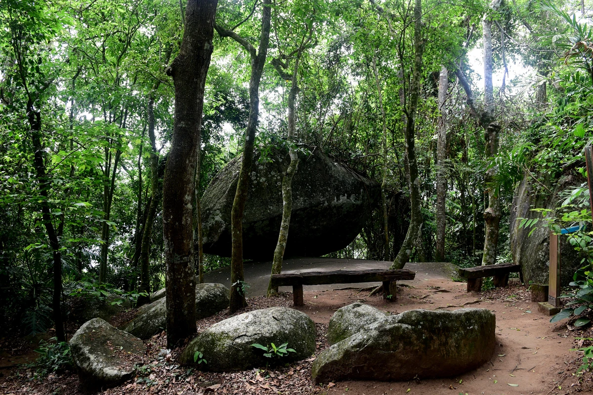 Pedra da Batata - Trilha - Parque da Fonte Grande, Vitória por Carlos Alberto Silva