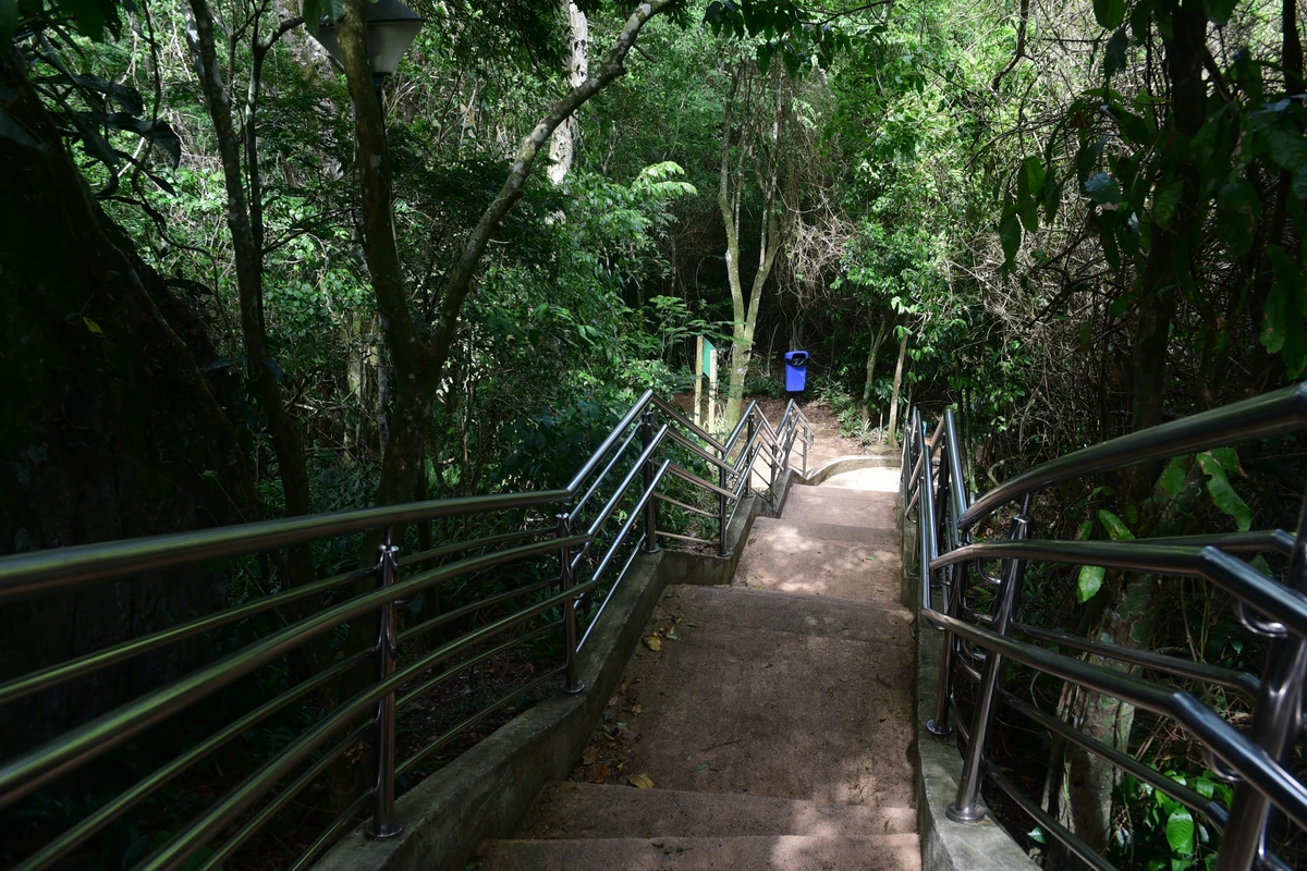 Mirante Sumaré - Parque da Fonte Grande, Vitória por Carlos Alberto Silva