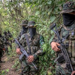 O Exército Gaitanista da Colômbia (EGC), mais conhecido como Clã do Golfo, foi formado por remanescentes de grupos guerrilheiros e paramilitares e hoje 'está presente em 302 dos cerca de 1.100 municípios do país'.