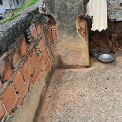 O animal estava acorrentado com guia de menos de meio metro, sem água e sem alimentação adequada