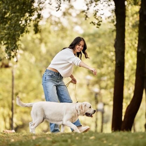 Imagem - Como cuidar do pet com a rotina corrida: 7 dicas essenciais