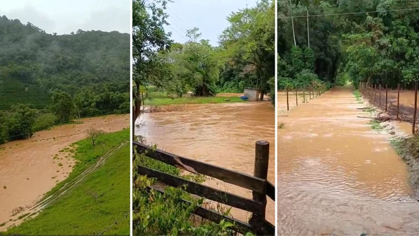 A Gazeta - tabbfeemb1a