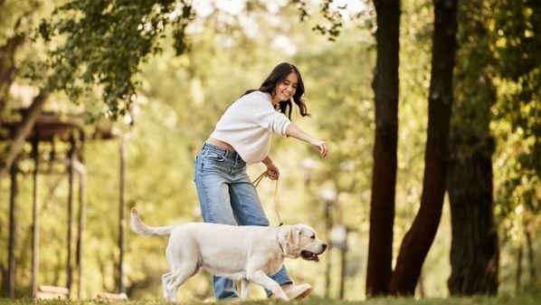 Descubra práticas simples que ajudam a manter a saúde e a felicidade do seu animal no dia a dia