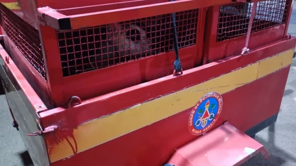 O ataque aconteceu enquanto a criança brincava com o cachorro no quintal da casa; em certo momento, o pitbull avançou contra a menina, e a mãe ao tentar socorrer, também acabou sendo mordida