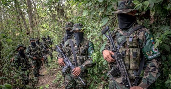 O Exército Gaitanista da Colômbia (EGC), mais conhecido como Clã do Golfo, foi formado por remanescentes de grupos guerrilheiros e paramilitares e hoje 'está presente em 302 dos cerca de 1.100 municípios do país'.
