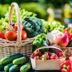 Especialista explica como frutas, legumes e preparações leves ajudam o corpo a manter o equilíbrio hídrico durante a estação
