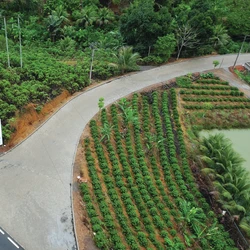 Programa Caminhos do Campo pavimentou 1.300 quilômetros de estradas, facilitando o escoamento da produção agrícola do Espírito Santo