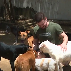 Atualmente, o professor Marcos Breda cuida de 40 pets em uma casa em Cariacica; animais estão disponíveis para adoção