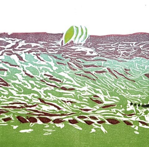 Sejal Kshirsagar India