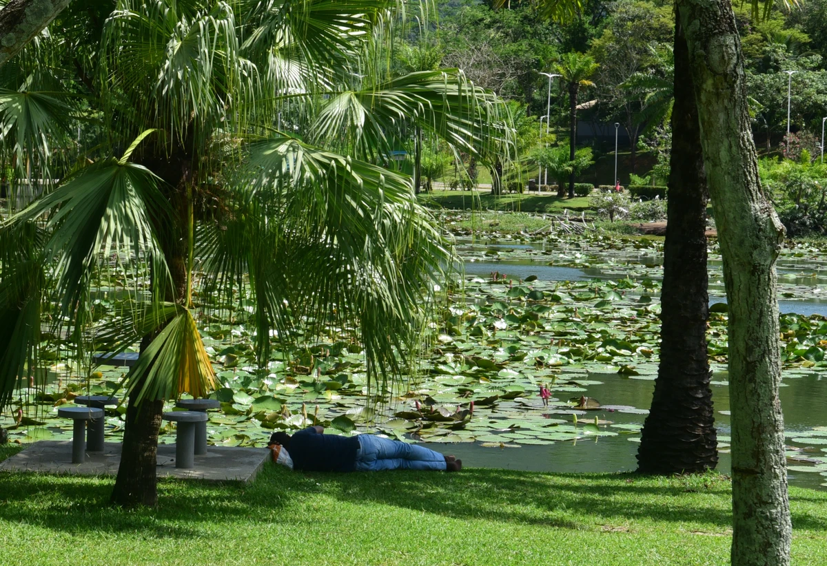 Parque Botânico do Horto Florestal por Carlos Alberto Silva