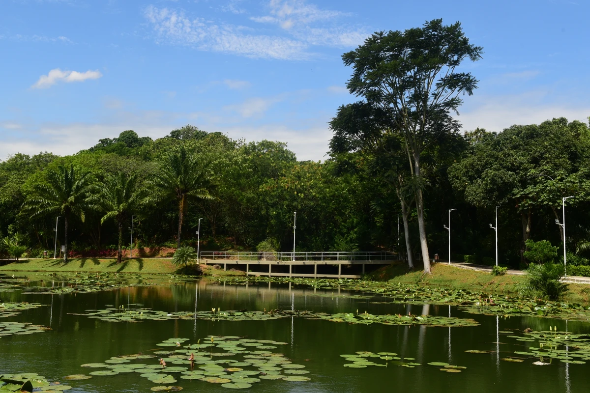 Parque Botânico do Horto Florestal por Carlos Alberto Silva