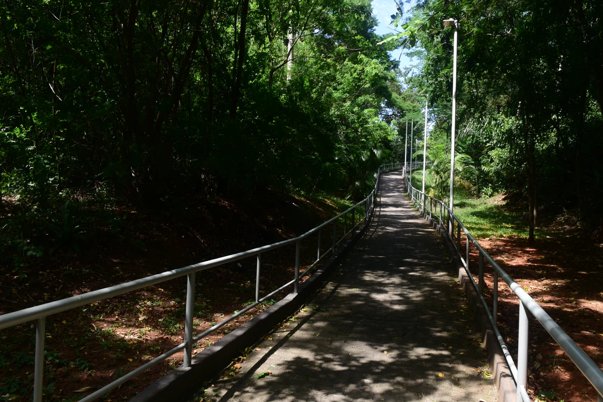 Parque Botânico do Horto Florestal por Carlos Alberto Silva