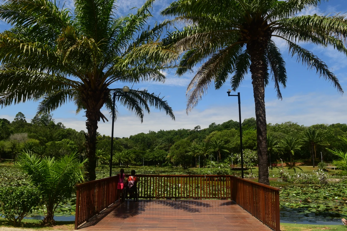 Parque Botânico do Horto Florestal por Carlos Alberto Silva