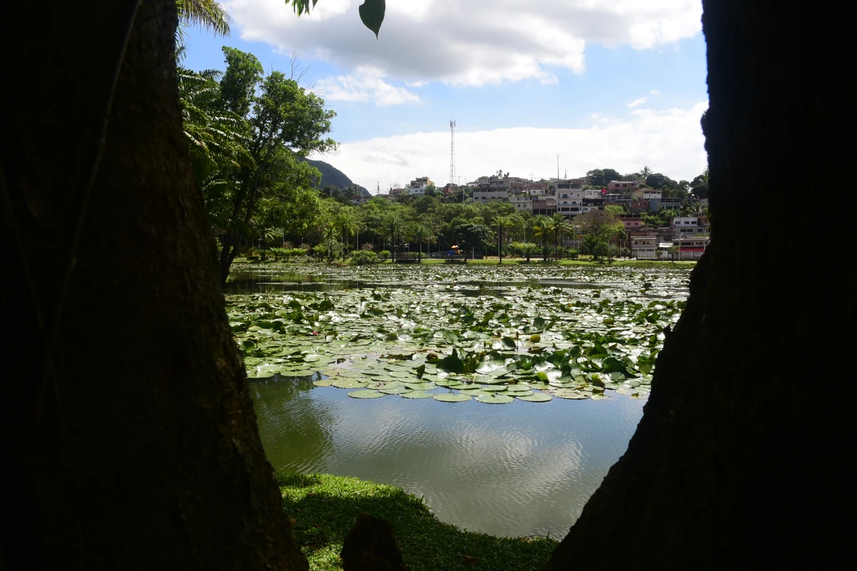 Parque Botânico do Horto Florestal por Carlos Alberto Silva