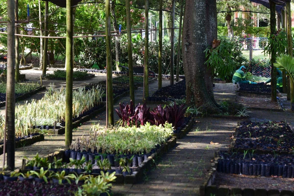 Parque Botânico do Horto Florestal por Carlos Alberto Silva