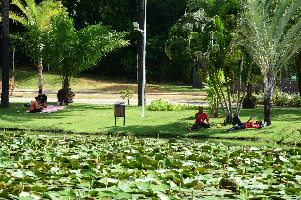Parque Botânico do Horto Florestal por Carlos Alberto Silva