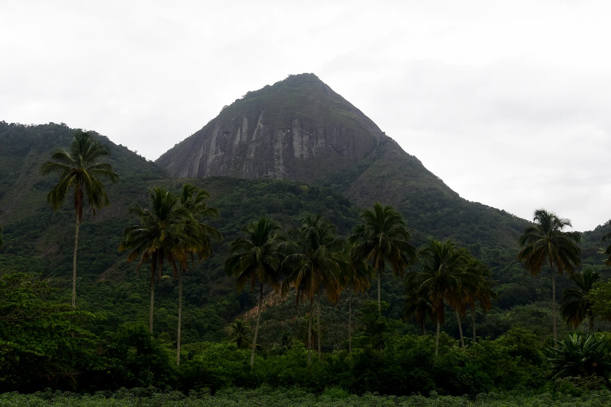 Àrea que faz parte do Parque Natural Municipal do Monte Mochuara, Cariacica. Não existe um portal que identifica o parque.   por Carlos Alberto Silva