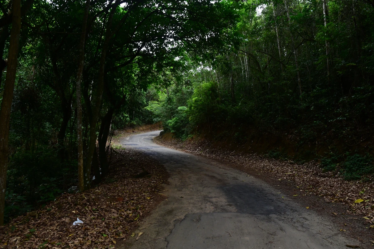 Àrea que faz parte do Parque Natural Municipal do Monte Mochuara, Cariacica. Não existe um portal que identifica o parque.   por Carlos Alberto Silva