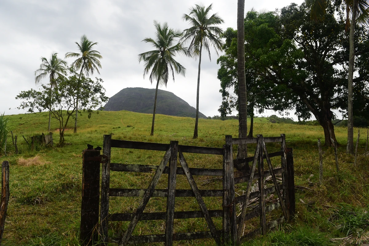 Àrea que faz parte do Parque Natural Municipal do Monte Mochuara, Cariacica. Não existe um portal que identifica o parque.   por Carlos Alberto Silva