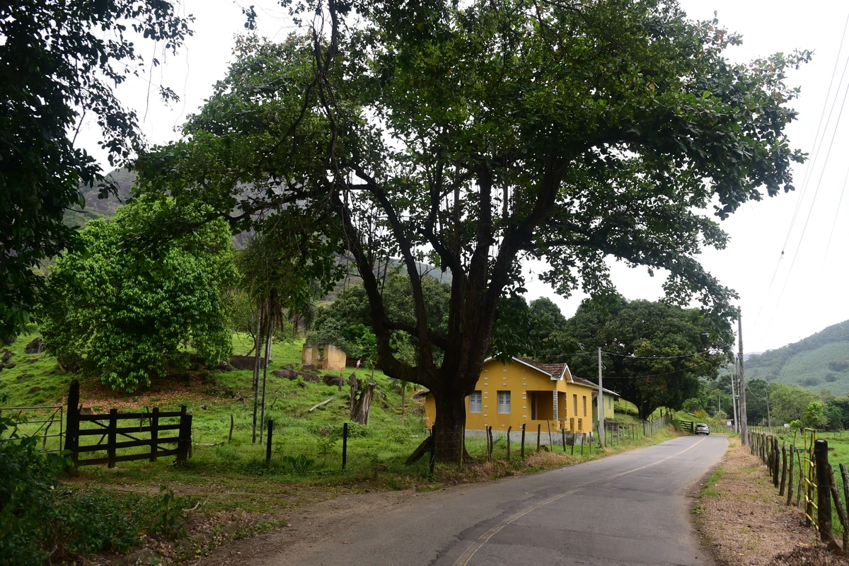 Àrea que faz parte do Parque Natural Municipal do Monte Mochuara, Cariacica. Não existe um portal que identifica o parque.   por Carlos Alberto Silva