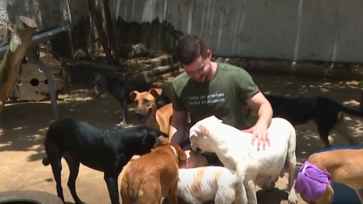 Voluntário Marcos Breda já resgatou mais de 200 animais pelas ruas da Grande Vitória