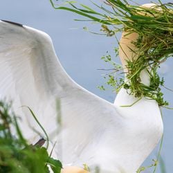 Neste ano, foram mais de 10 mil inscrições — qual delas fez você rir mais?