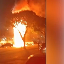 Apesar de o fornecimento de energia já ter sido restabelecido, a EDP informou, em nota, que ainda não sabe o que provocou o incidente