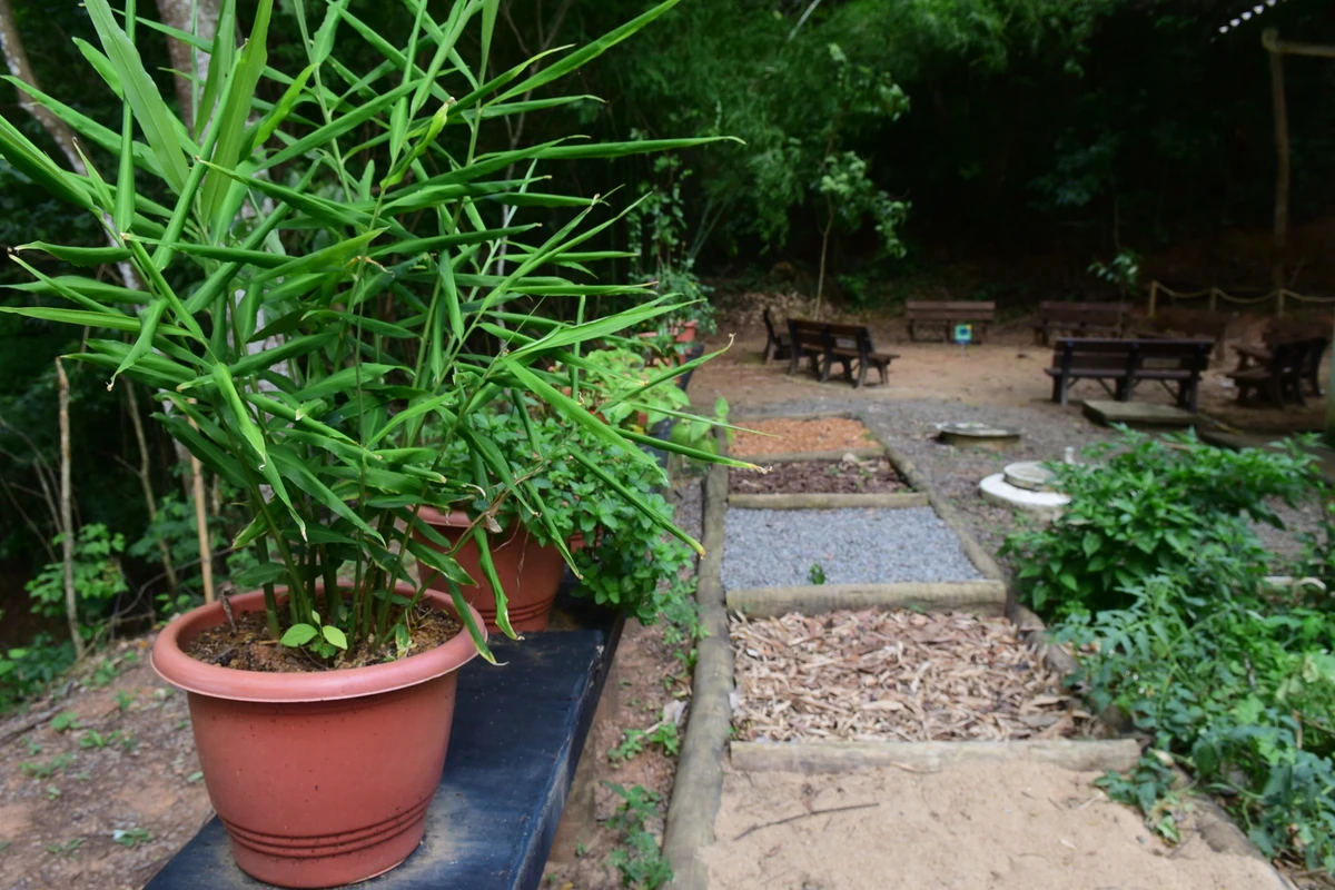 Parque Natural Rota das Garças, Viana - Jardim sensorial para as crianças por Carlos Alberto Silva