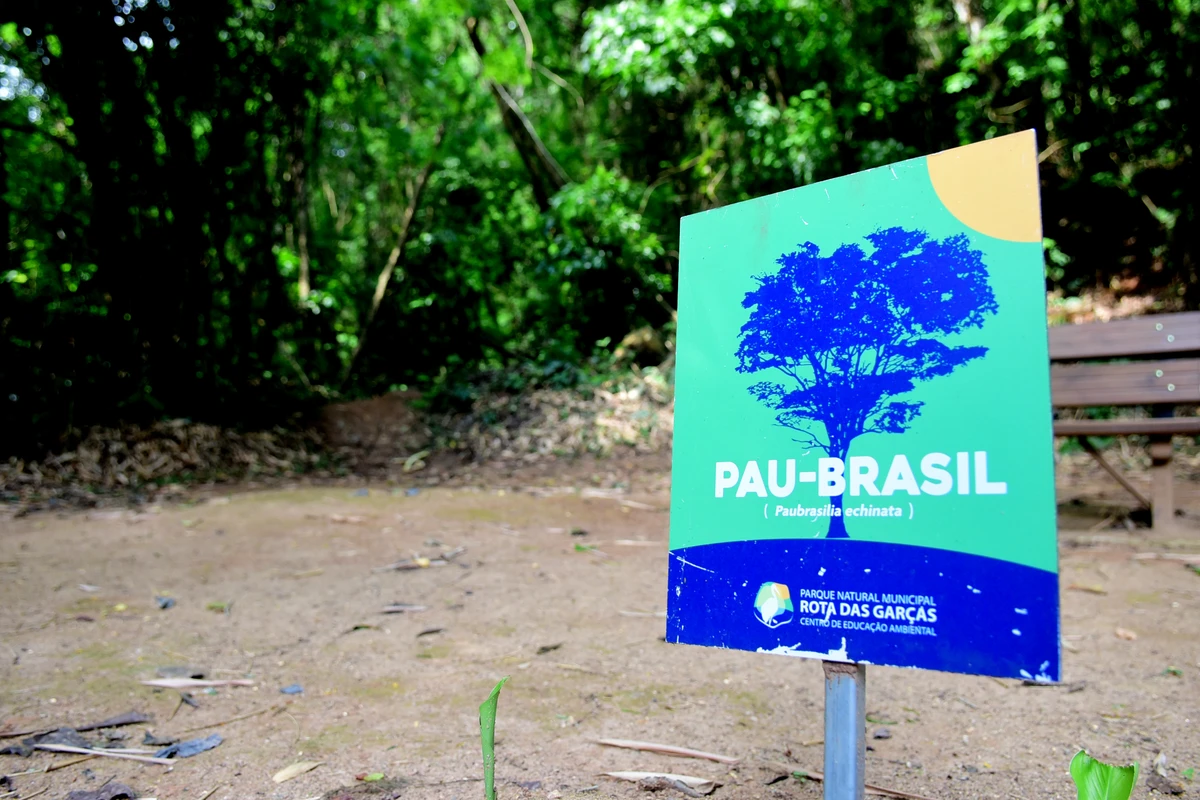Parque Natural Rota das Garças, Viana - Centro de educação ambiental por Carlos Alberto Silva