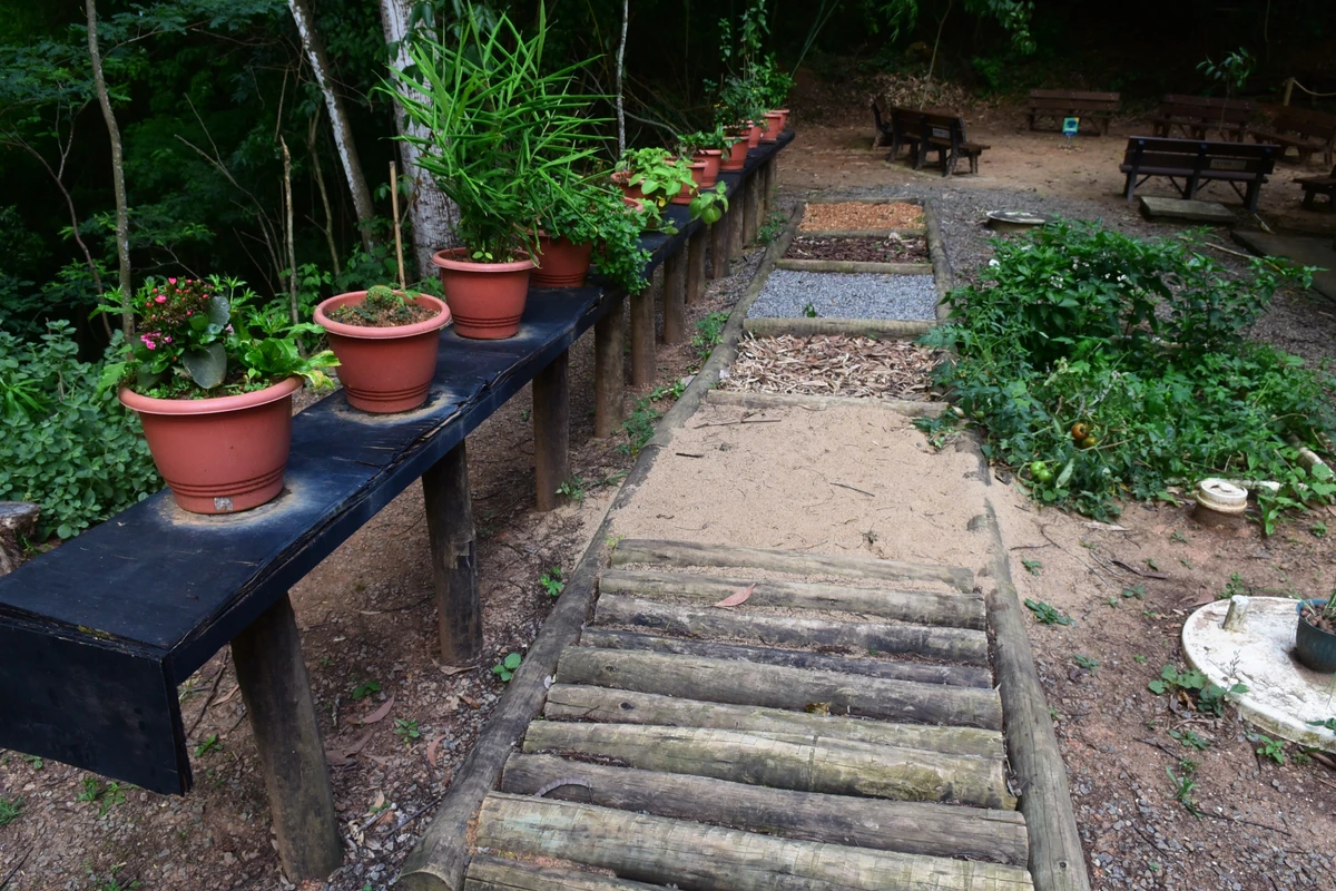 Parque Natural Rota das Garças, Viana - Jardim sensorial para as crianças por Carlos Alberto Silva