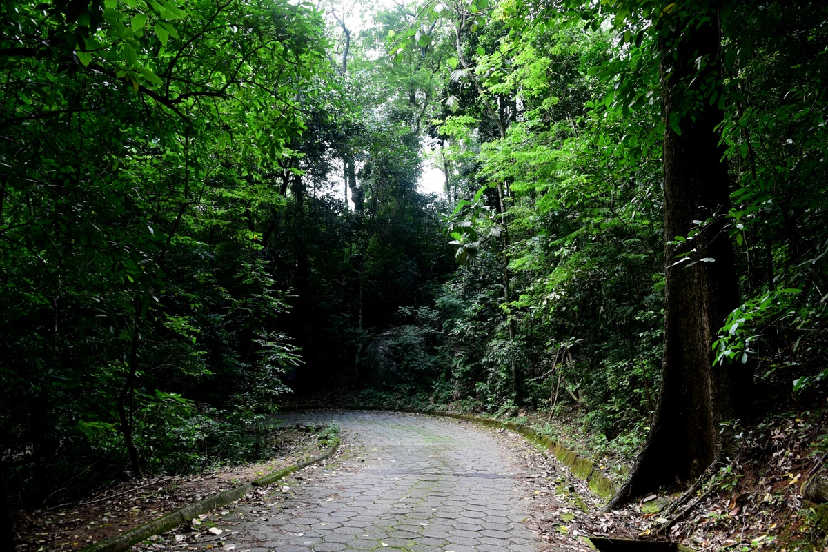 Parque Natural Rota das Garças, Viana - Centro de educação ambiental por Carlos Alberto Silva
