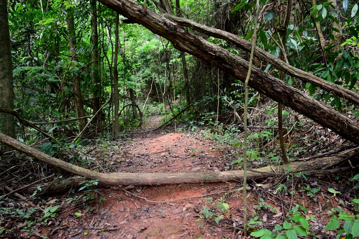Parque Natural Rota das Garças, Viana - Centro de educação ambiental por Carlos Alberto Silva