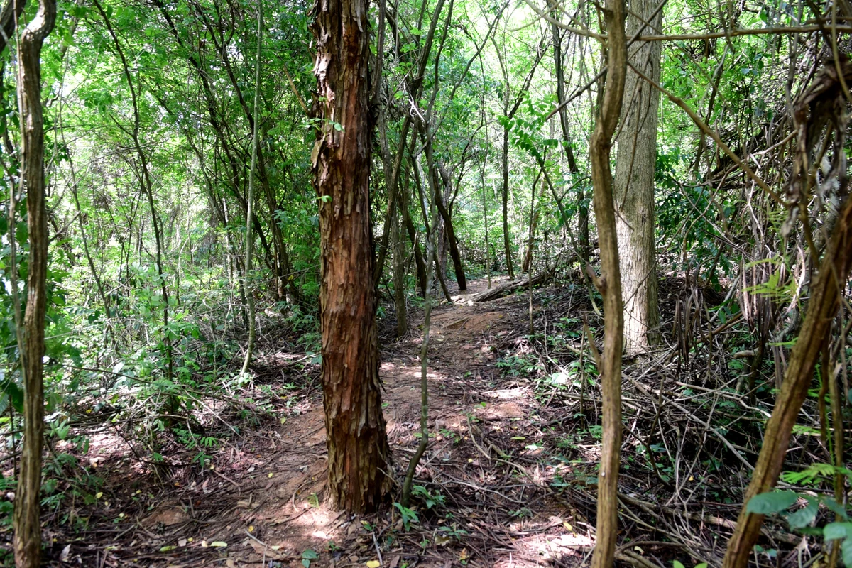 Parque Natural Rota das Garças, Viana - Centro de educação ambiental por Carlos Alberto Silva