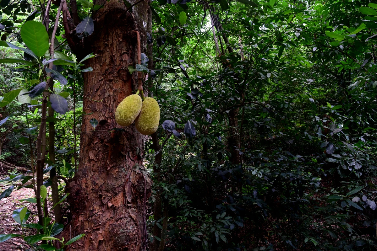 Parque Natural Rota das Garças, Viana - Centro de educação ambiental por Carlos Alberto Silva