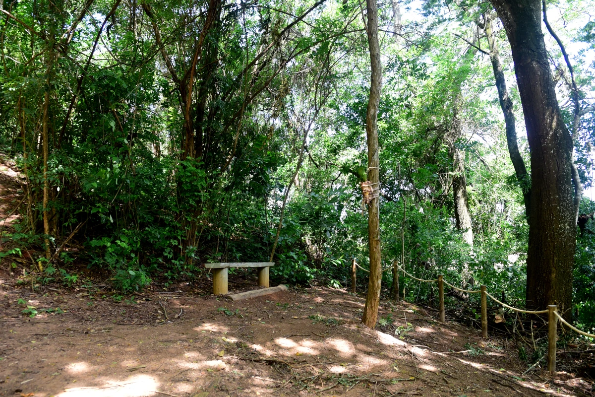 Parque Natural Rota das Garças, Viana - Centro de educação ambiental por Carlos Alberto Silva