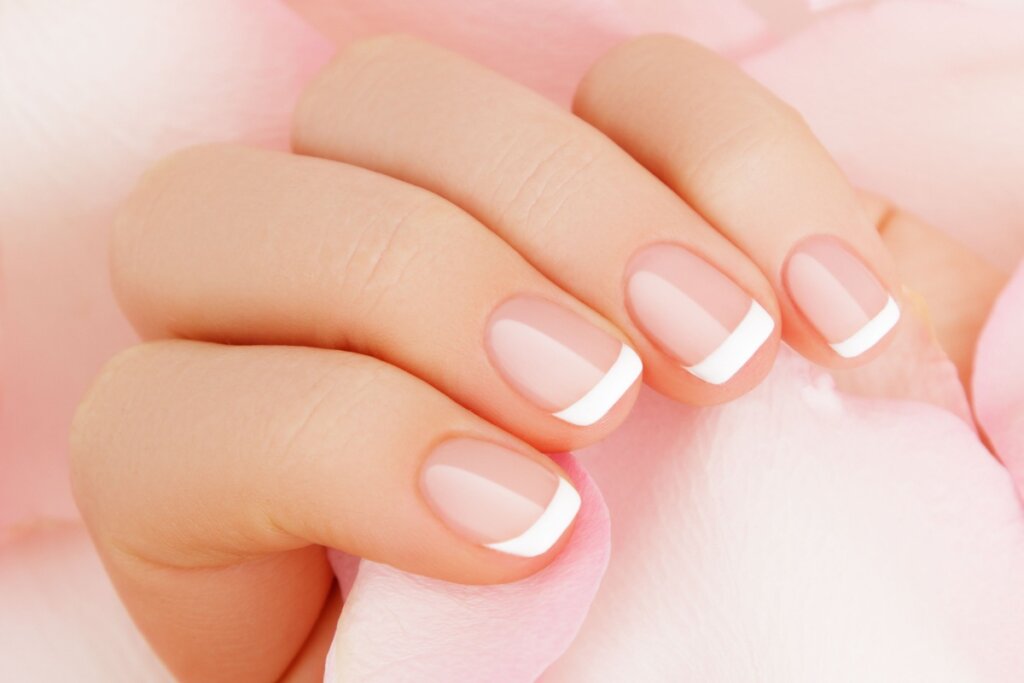 A francesinha é uma decoração clássica para o Ano-Novo (Imagem: Re_sky | Shutterstock)