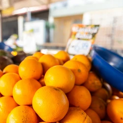 Feiras que aconteceriam em 25 de dezembro e 1° de janeiro foram antecipadas em Vitória, Serra, Cariacica e Vila Velha; Guarapari terá suspensão no Natal