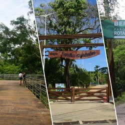 Visitas de observação com experiência imersiva do ambiente têm acesso gratuito; veja lista e escolha o melhor para você e sua família