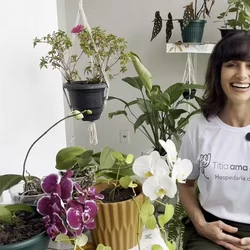 Formada em Gestão de Negócios, Faby Sambati  transformou o próprio apartamento em um hotel de plantas