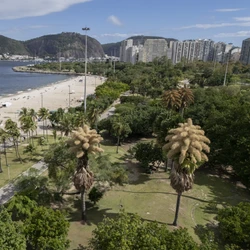 Da diminuição nos índices de pobreza a avanços na ciência que beneficiaram um paciente capixaba, veja alguns dos episódios importantes que marcaram o ano