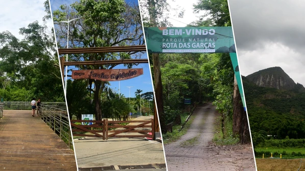 Visitas de observação com experiência imersiva do ambiente têm acesso gratuito; veja lista e escolha o melhor para você e sua família