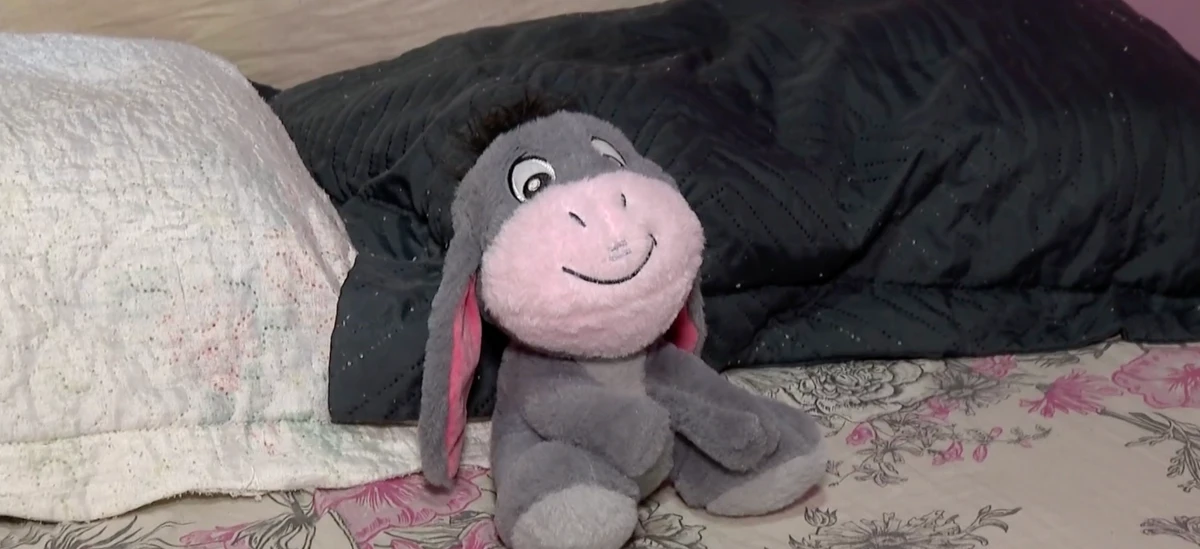 Pelúcia ainda está sobre a cama de meninas que morreram em acidente na BR 101